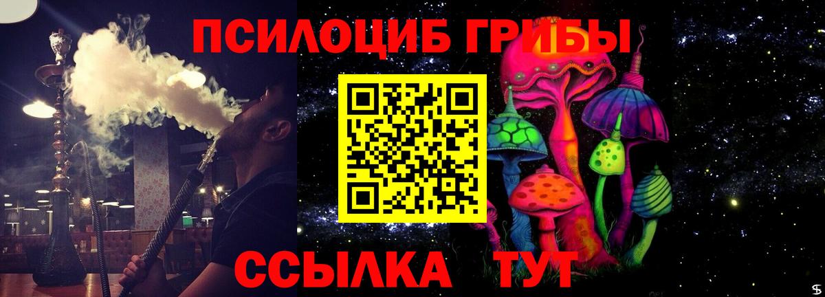 Псилоцибиновые грибы Psilocybe Туапсе